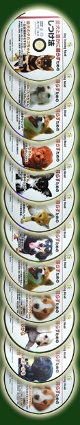 犬の状況により選べる犬のしつけＤＶＤ