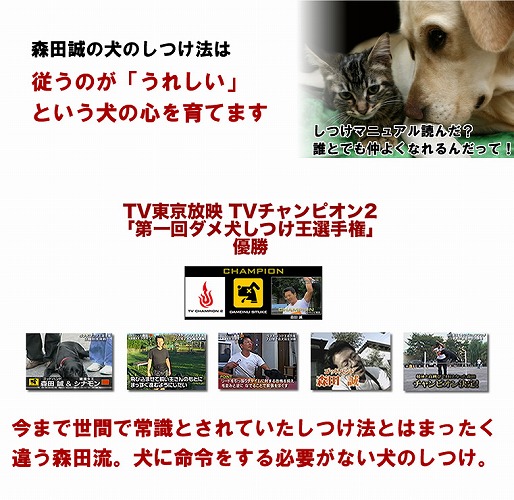 森田誠の犬のしつけ法は従うのが「うれしい」という犬の心を育てます　ＴＶチャンピオン２「第一回ダメ犬しつけ王選手権」優勝　今まで世間で常識とされていたしつけ法とはまったく違う森田流。犬に命令をする必要がない犬のしつけ。